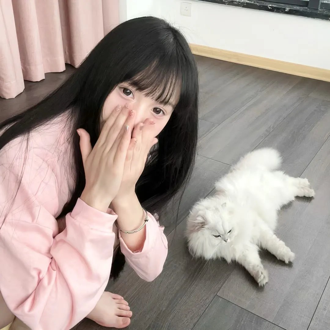 同事以上海报